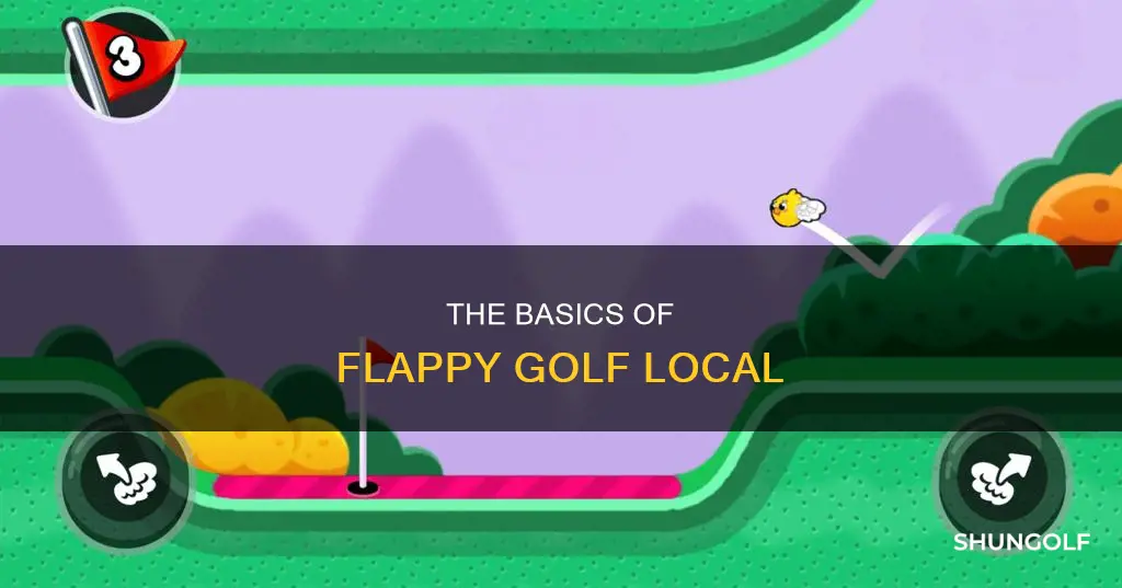 how does flappy golf local work