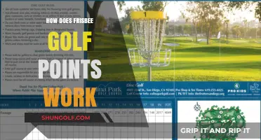 Understanding Frisbee Golf Scoring: A Beginner's Guide