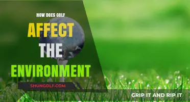 Golf's Environmental Impact: Friend or Foe?