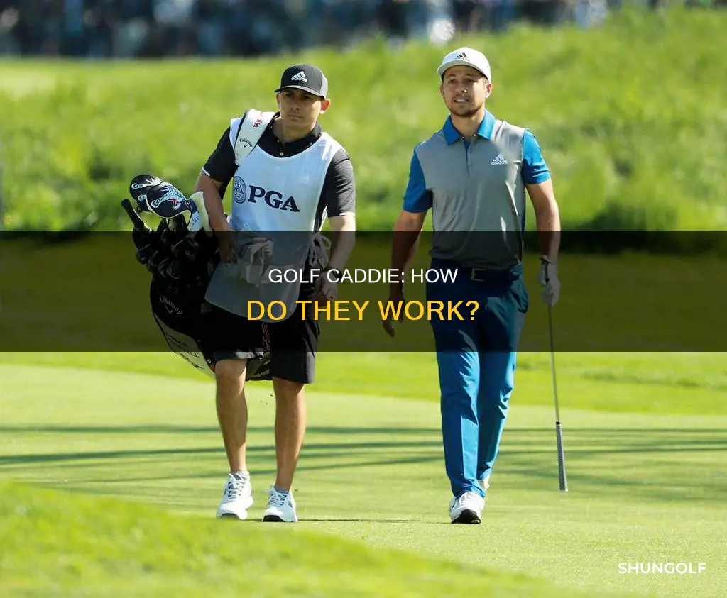 how does golf caddie work