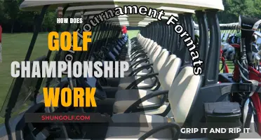 Golf Championships: How Do They Work?