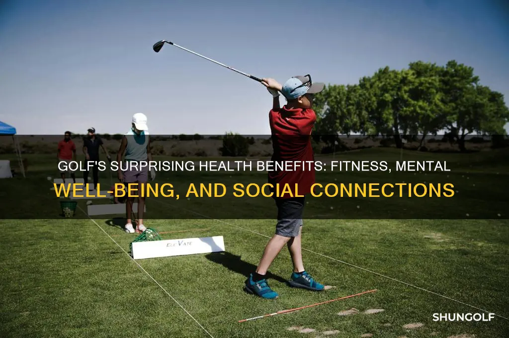 how does golf contribute to a healthy lifestyle