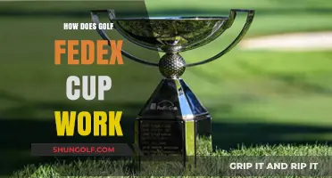 Understanding the FedEx Cup: Golf's Playoff System