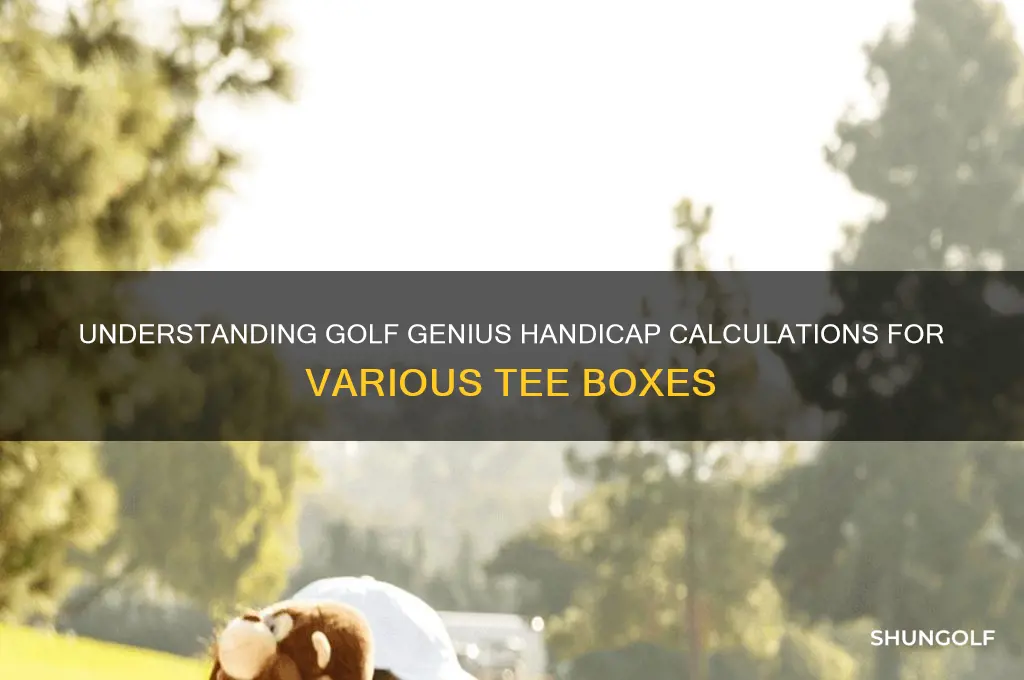 how does golf genius calculate handicaps for different tees