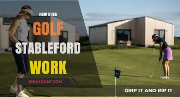 Understanding Golf Stableford: Scoring System Simplified