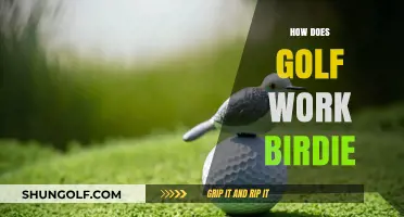 Golf Birdies: How They Work and Why They Matter