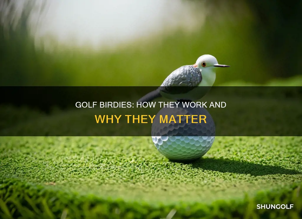 how does golf work birdie