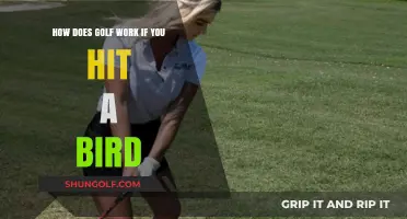 Golf Etiquette: What Happens When Your Swing Hits a Bird?