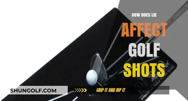 Unveiling the Impact of Lies on Golf Performance