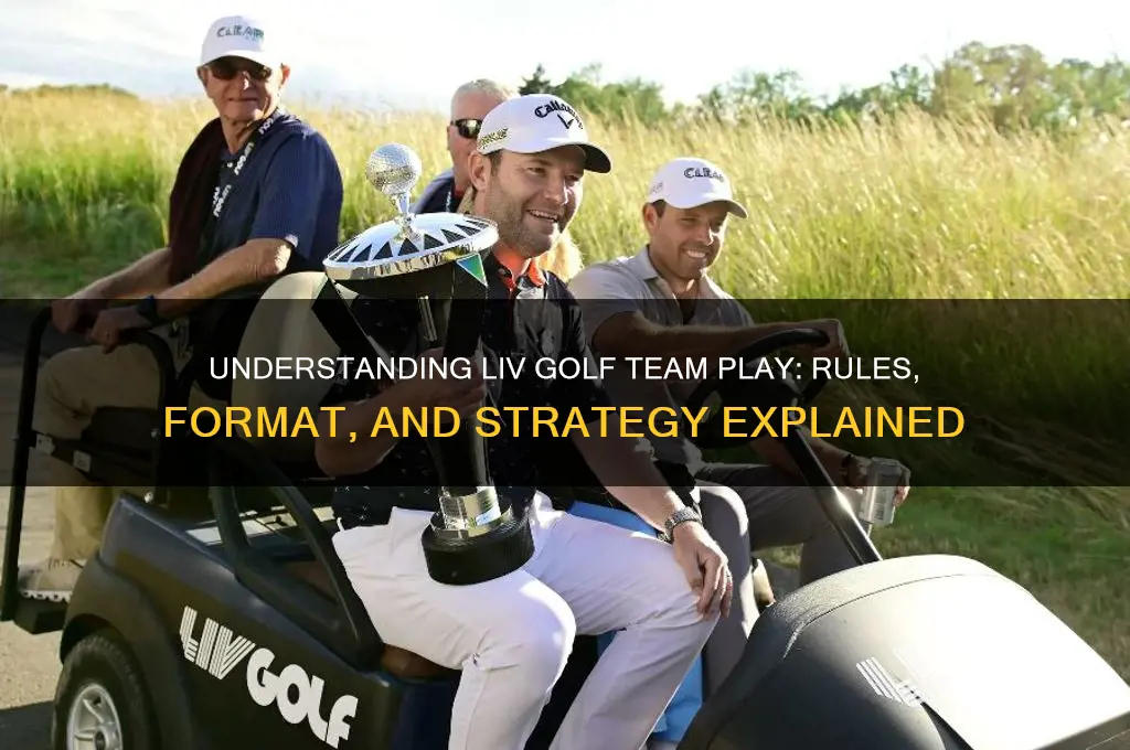how does liv golf team play work