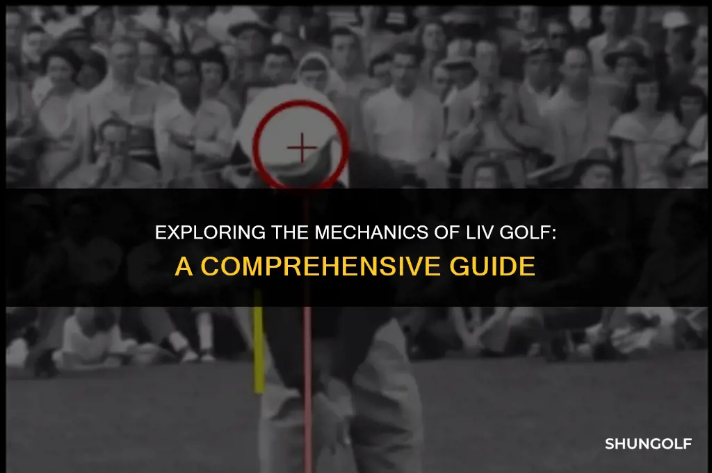 how does liv golf work