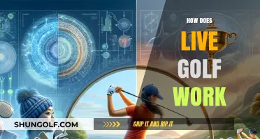 Exploring the Dynamics of Live Golf: A Hole-by-Hole Guide