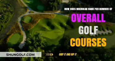 Michigan's Golf Course Count: Where Does the State Rank?