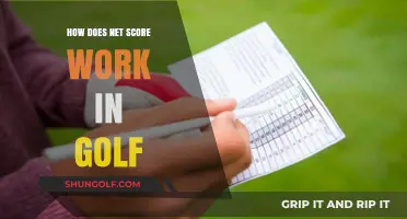 Understanding Golf's Net Score: Calculation, Importance, and Application Explained