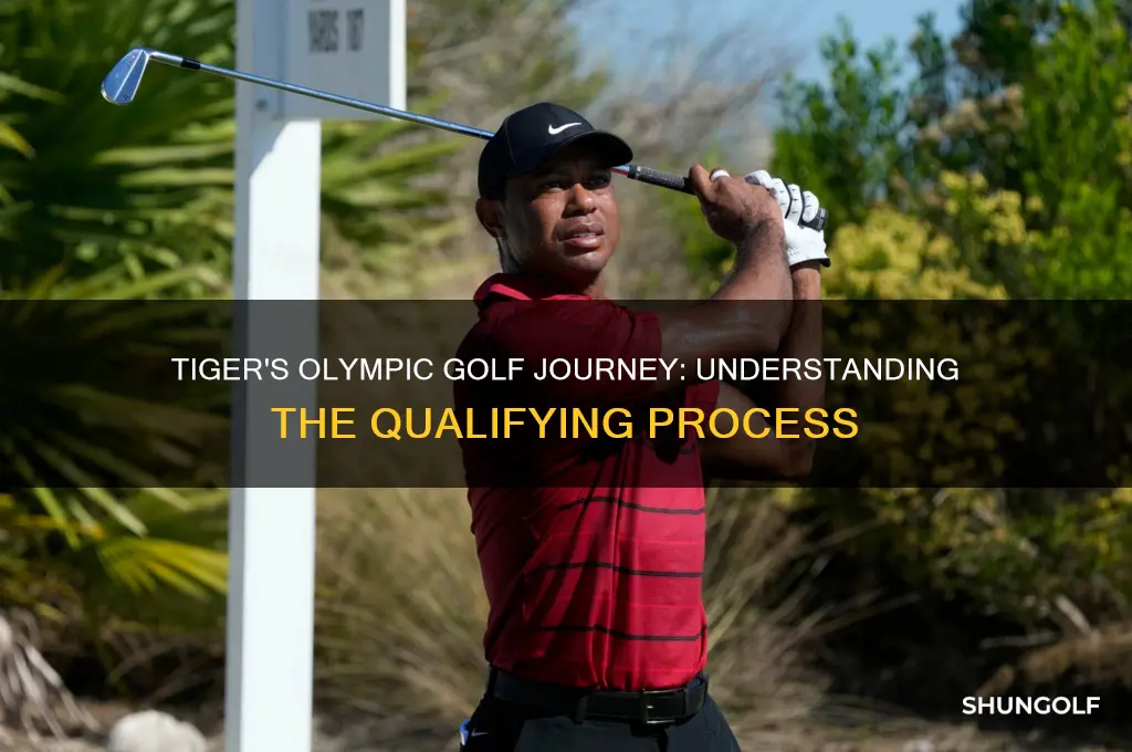 how does olympic golf qualifying work tiger