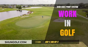 Understanding Golf's Point System: A Comprehensive Guide for Players