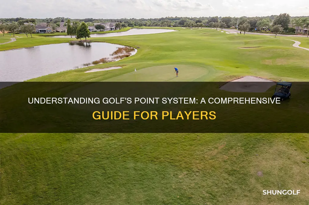 how does point system work in golf