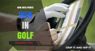 Golf Points System: How to Win with Strategy