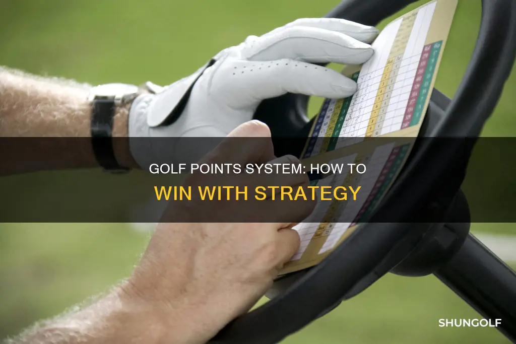 how does points win in golf