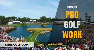 Golfing Like a Pro: Understanding the Professional Golfing World