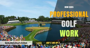 Understanding the Professional Golfing World