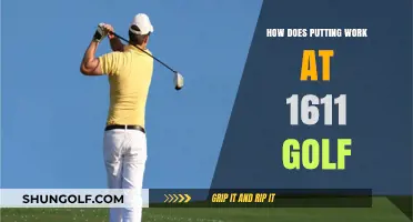 Mastering the Greens: Understanding Putting Techniques at 1611 Golf