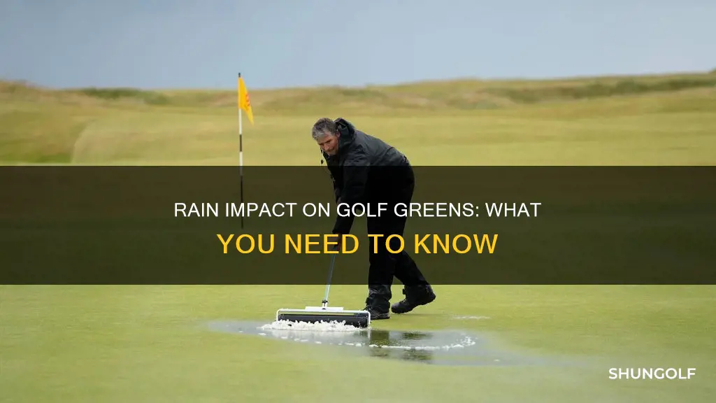 how does rain affect golf greens