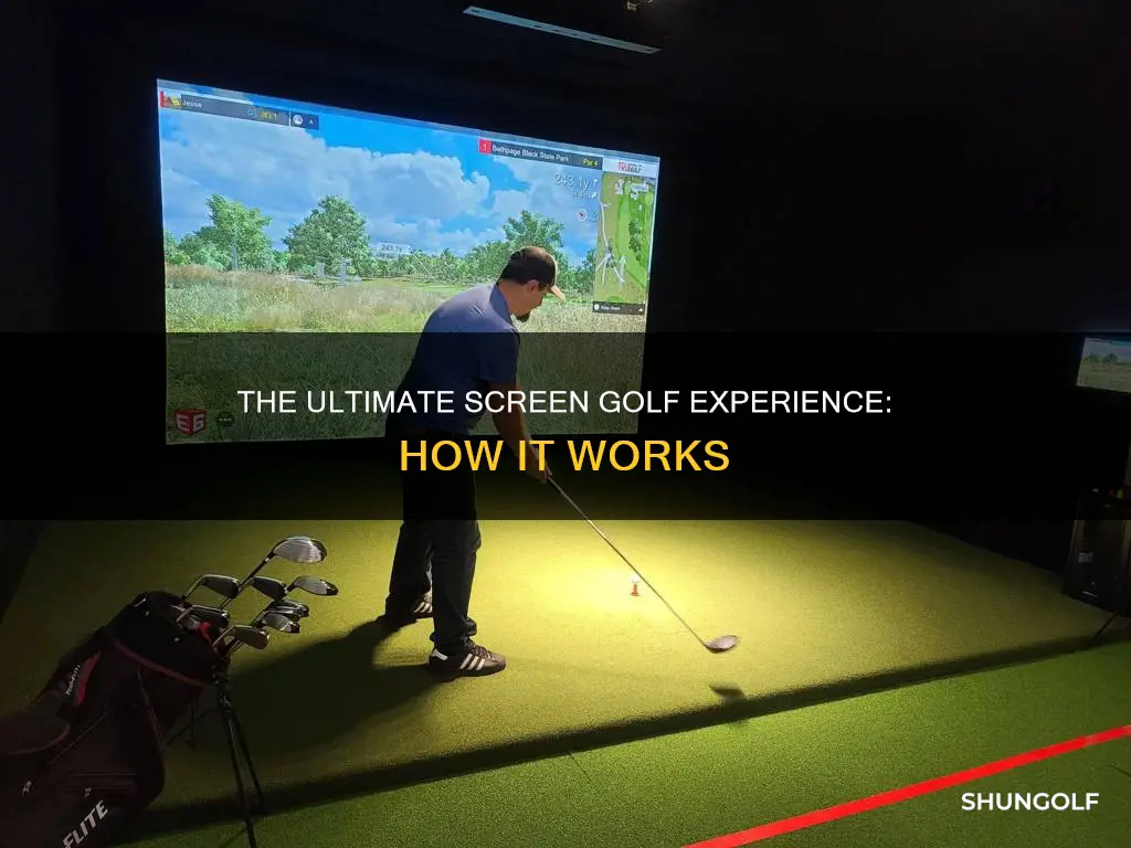 how does screen golf work