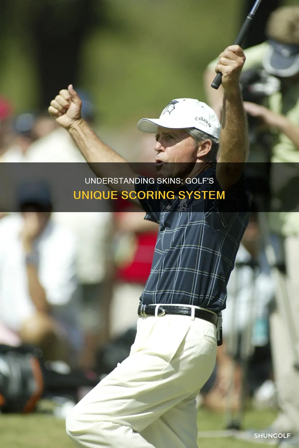 how does skins work in golf