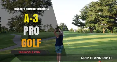 Mastering the A-3 Pro Golf Journey: Steps to Achieve Success