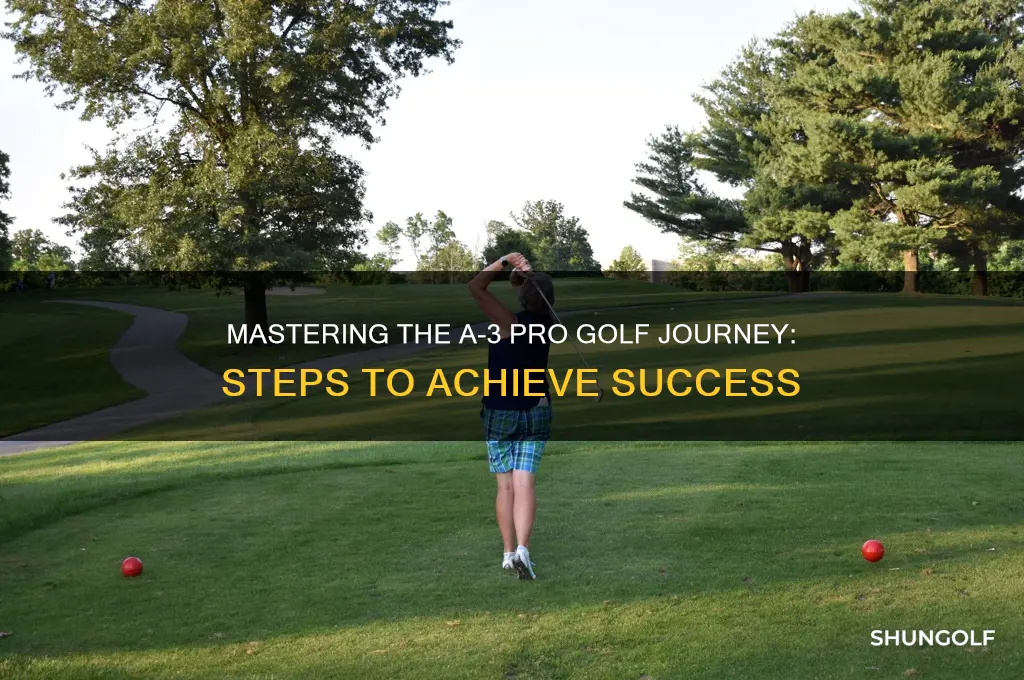 how does someone become a a-3 pro golf