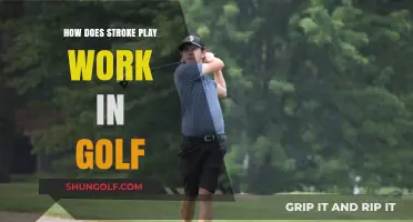 Understanding Stroke Play: A Comprehensive Guide to Golf's Classic Format
