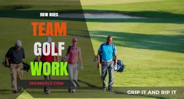 Team Golf: Understanding the Basics of Collaboration