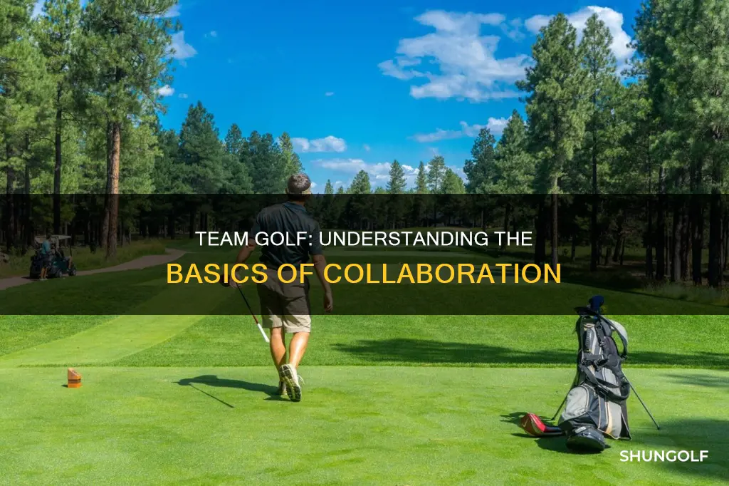 how does team golf work