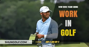 Understanding Team Skins Format: Rules, Strategy, and Golf Gameplay Explained