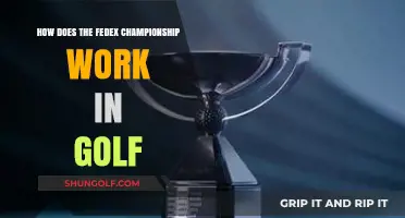 Understanding the FedEx Cup Playoffs: A Comprehensive Guide to Golf's Championship