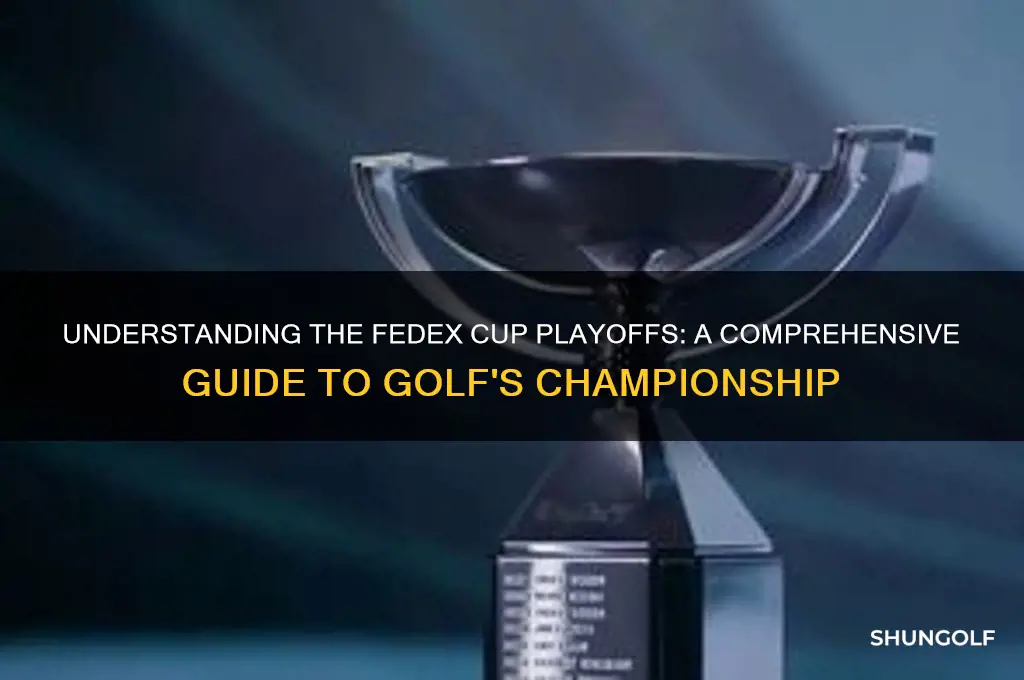 how does the fedex championship work in golf