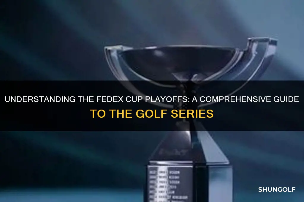how does the fedex golf series work