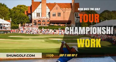 Understanding the Golf Tour Championship: Format, Rules, and Winning Strategies