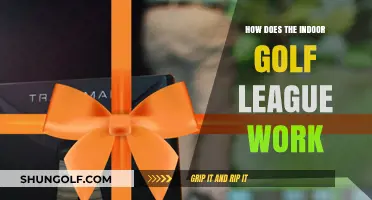 Understanding the Mechanics of Indoor Golf League Operations