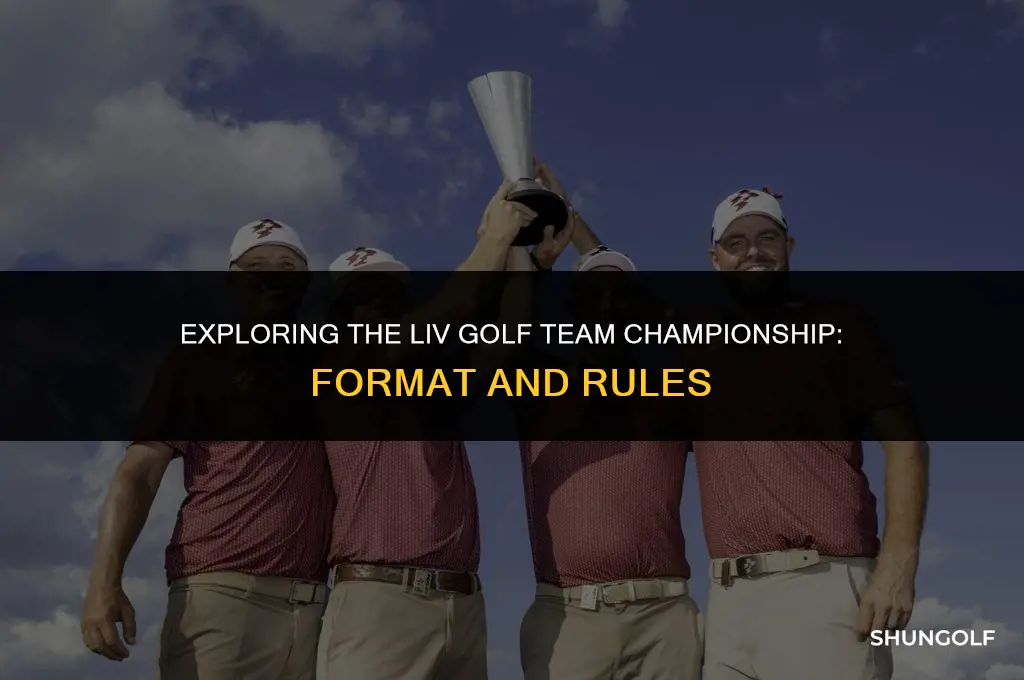 how does the liv golf team championship work