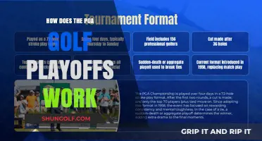 Understanding the PGA Golf Playoffs: Format, Points, and Championship Path