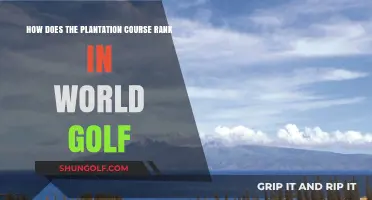 Plantation Course: Its Global Golf Ranking and Prestige Explored
