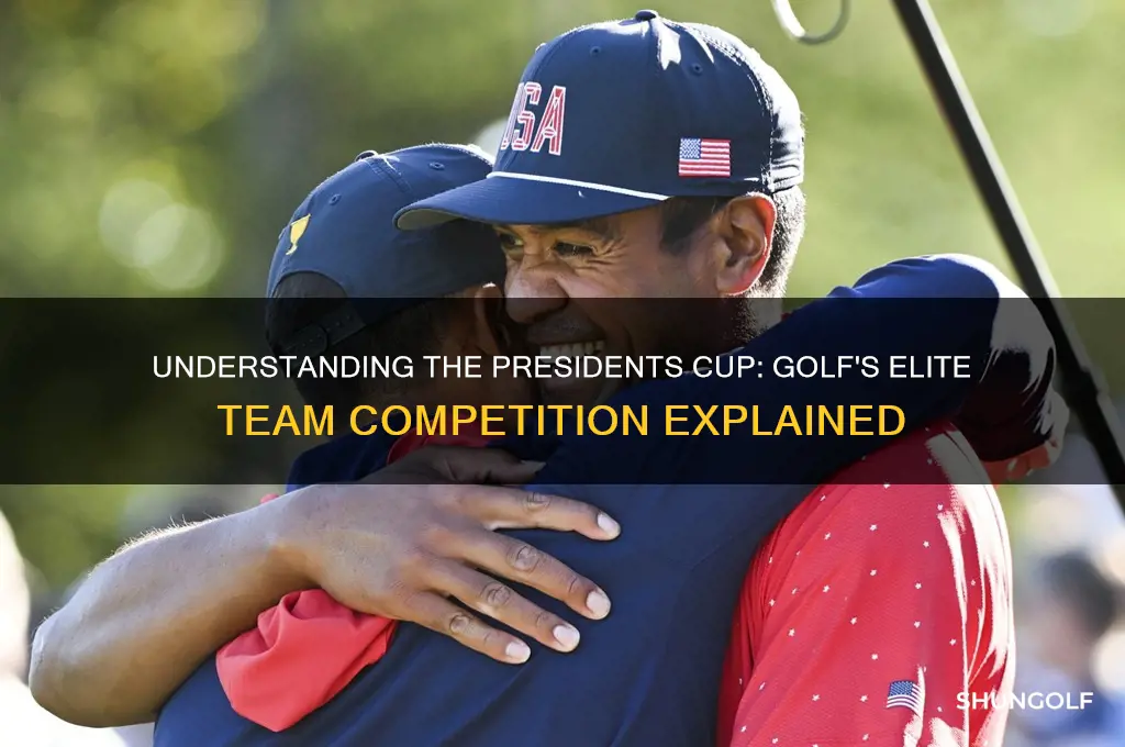 how does the presidents cup work in golf