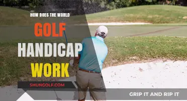 Understanding the World Golf Handicap System: A Comprehensive Guide
