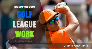Understanding Tiger Woods' Golf League: Structure, Rules, and Player Dynamics