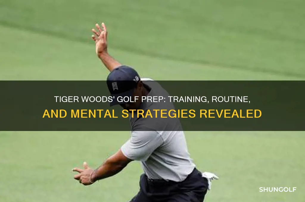 how does tiger woods prepare for golf