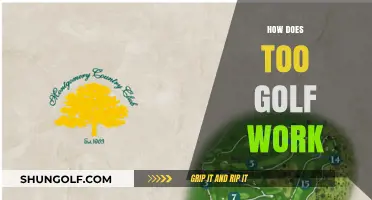 Golf Basics: Understanding the Game and How It Works