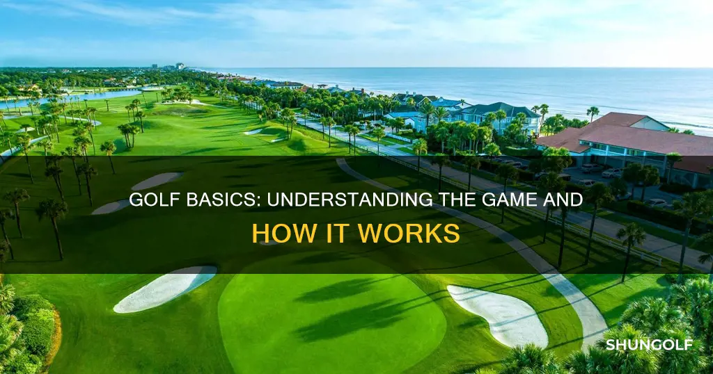 how does too golf work