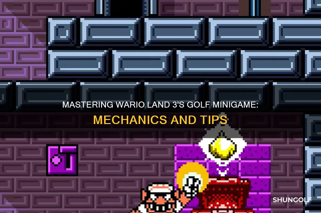 how does warioland 3 golf minigame work